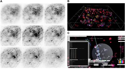 Towards Human in the Loop Analysis of Complex Point Clouds: Advanced Visualizations, Quantifications, and Communication Features in Virtual Reality